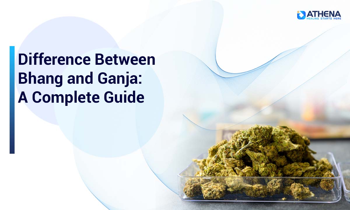 difference-between-bhang-and-ganja