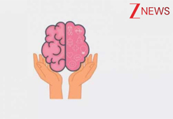 Zee News